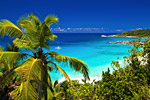 Bahamas and Caribbean Disney Cruises