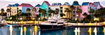 Bahamas, Caribbean & more Disney Cruises